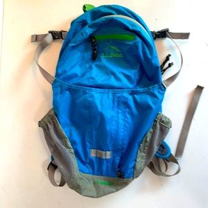 L.L Bean Stowaway BackPack in Blue